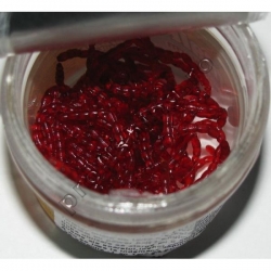 Berkley - Power Bloodworm Mini 150pcs