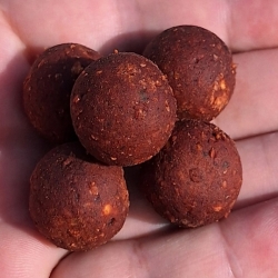Boilies SQUID Hydro
