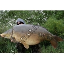 Imperial Baits - ELITE Boilie MIX 2kg