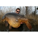 Imperial Baits - ELITE Boilie MIX 5kg