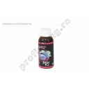 Sensas - Attractix Pruna 75ml