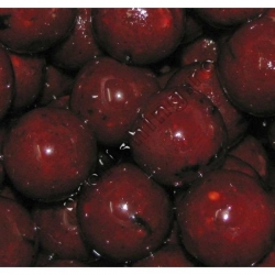 B2 Classic - Boilies dipuit 180gr