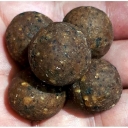 Superbaits-Boilies Element Seafood-Squid