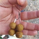 Boilies Imperium GOLD