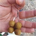 Superbaits - Boilies IMPERIUM GOLD