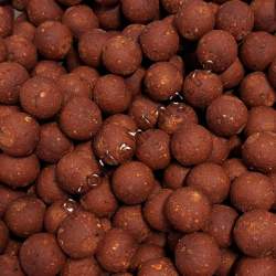 Boilies B4 Carp Special