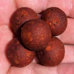 Boilies BCM