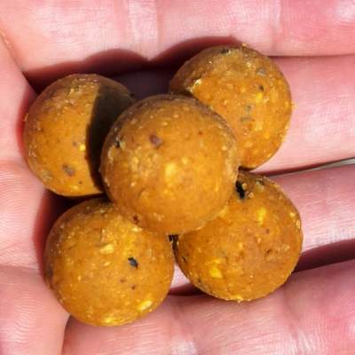Boilies Tigernuts Gold HNV